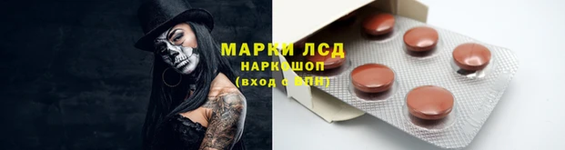 стаф Армянск